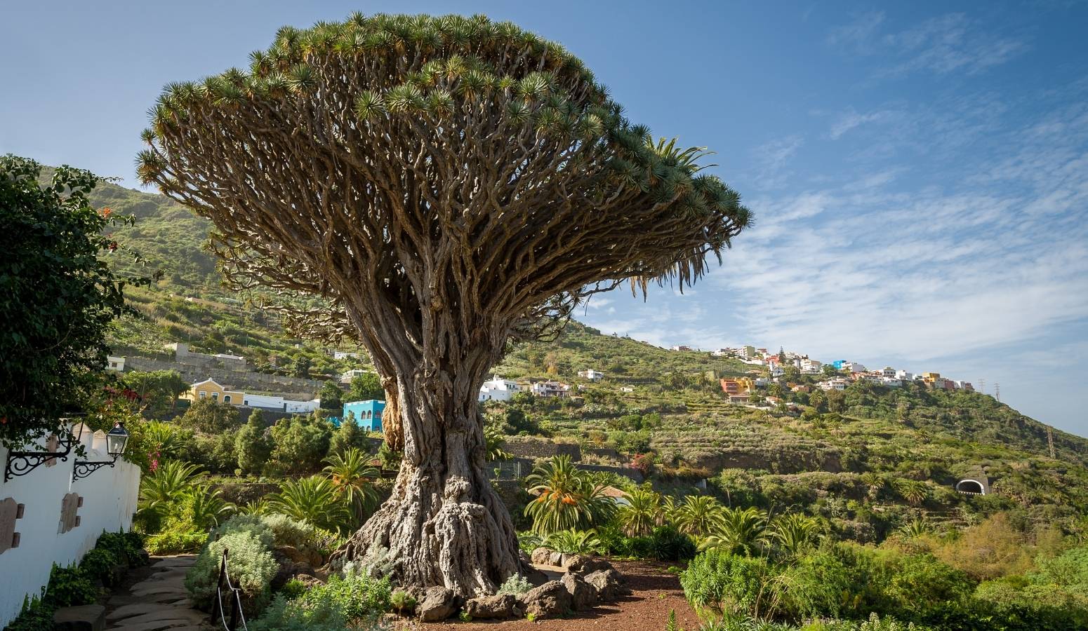 viaje-tenerife-cultural-mayores-55